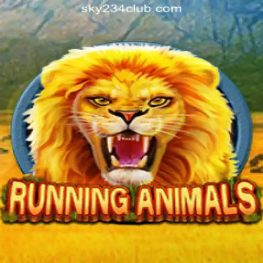 SKY234 Online Casino Philippines Casino Withdrawal